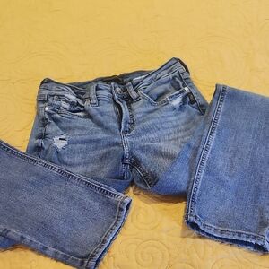 Silver Jeans Women's Straight Leg Denim